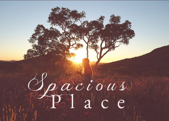 Spacious Place | January Monthly Blog