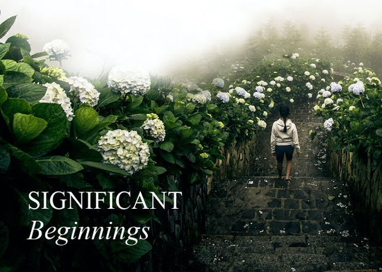 Significant Beginnings | June Monthly Blog
