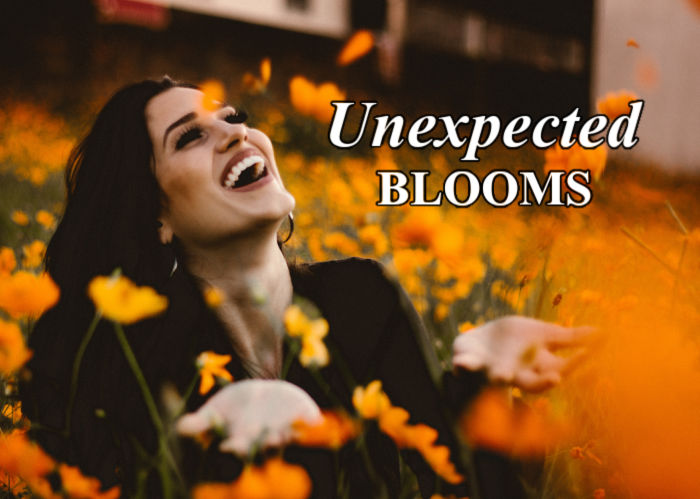 Unexpected Blooms | November Blog