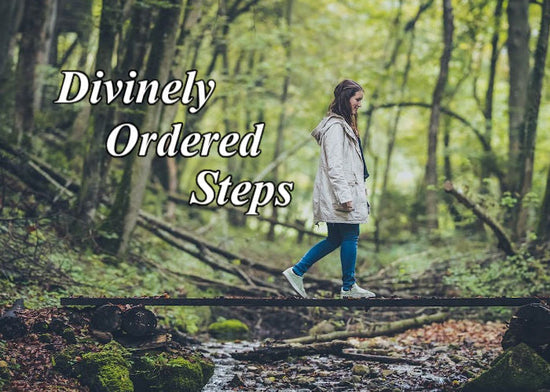 Divinely Ordered Steps | September Blog