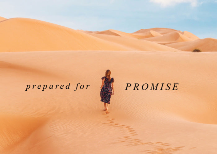 Prepared For Promise | July Monthly Blog